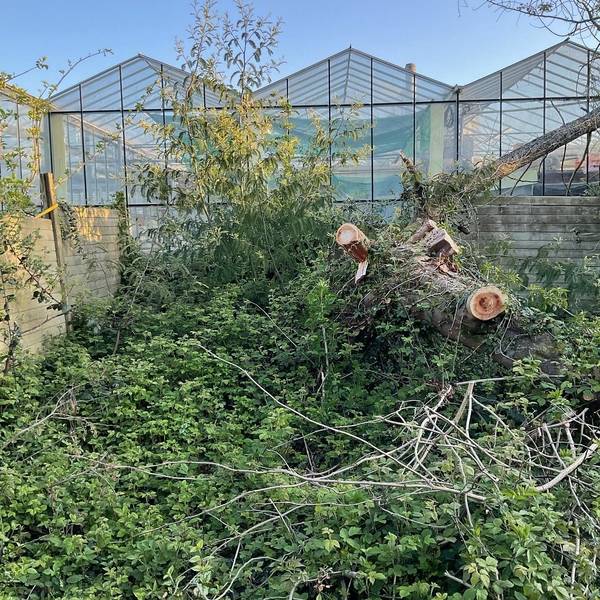 galerie_laurent_paysages_5