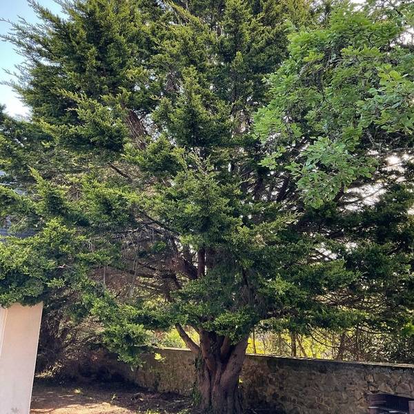 galerie_laurent_paysages_8