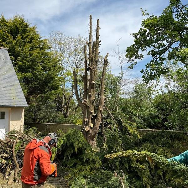 galerie_laurent_paysages_10