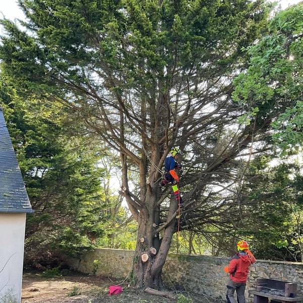 galerie_laurent_paysages_14