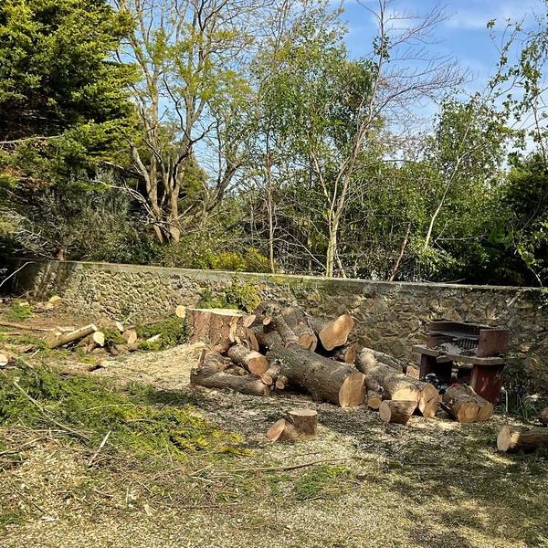 galerie_laurent_paysages_11