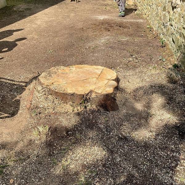 galerie_laurent_paysages_161