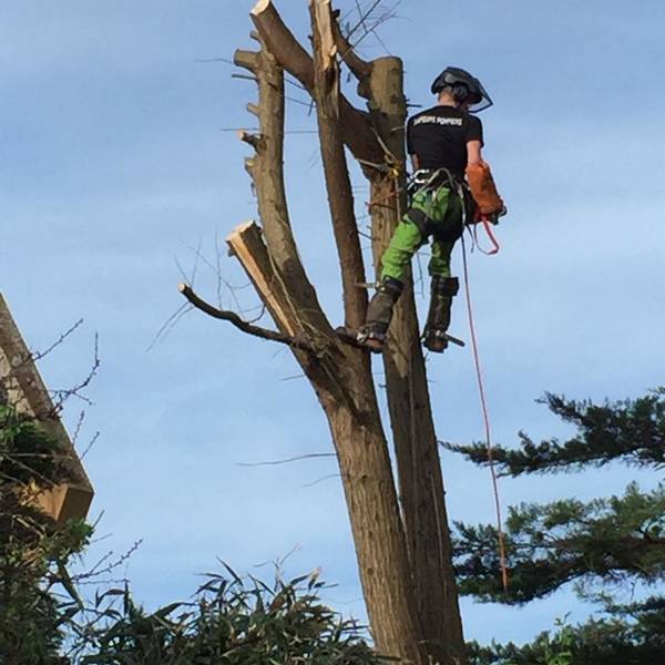 galerie_laurent_paysages_15