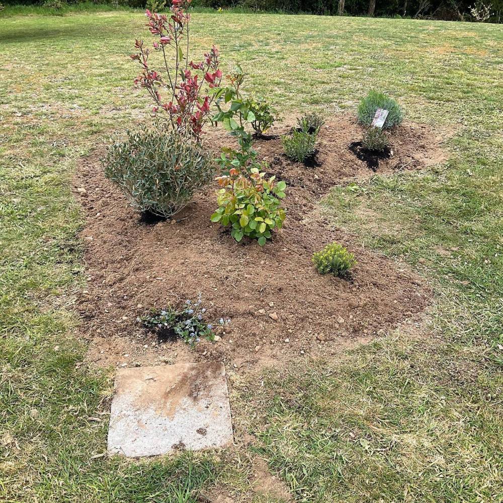 Création de massifs 5