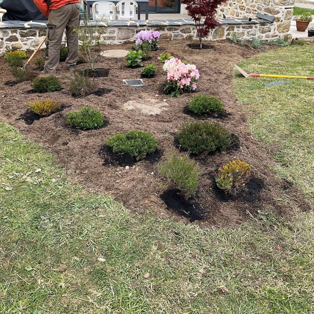 Création de massifs 4